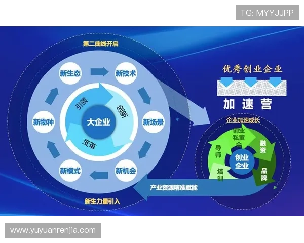 体育产业创新与创业机会探索打造未来运动生态系统