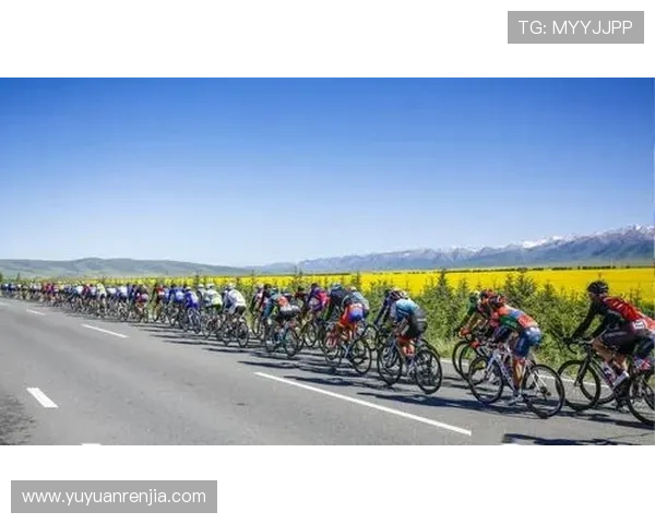 聚焦全球赛场风云故事的体育播客频道全新启航与热血观点深度解读 - 副本 - 副本 - 副本 (3)